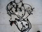 1000ds Ducati 2005 Multistrada Harness Only 1000ds Ducati 2005 Multistrada Harness Only