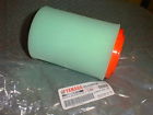 1p0-e4450-00-00 Yamaha Genuine Oem Air Filter Element Cleaner Yfm Big Bear