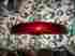 58998-00qj Harley-davidson Nos Original Harley Sportster Fxd Luxury Rich Red Front Fender