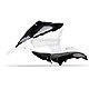 8413800006 Polisport Radiator Scoops Tank Cover