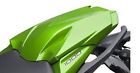 99994-0393-17p Kawasaki Ninja 1000 12-14 Candy