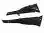 Ap021 Aprilia Carbon Fiber Rsv Mille 1998 2003 Coil Covers Ap021 Aprilia Carbon Fiber Rsv Mille 1998 2003 Coil Covers