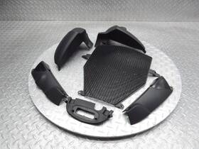 17117684523 Bmw 2006 04-08 K1200r K1200 Oem Radiator Covers Fairings Panels Grille Lot