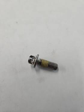 420641048wo Can-am 420641048 Genuine Oem/nos Flanged Torx Screw 4pk