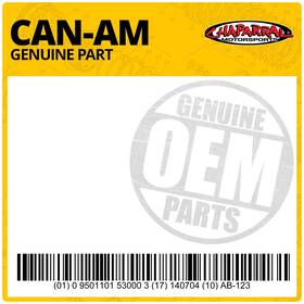 295100206 Canam Oem Lifting Kit For Sea-doo Models