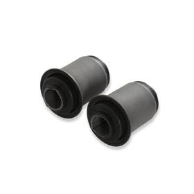 041405ds Detroit Speed Engineering And - Trailing Arm Bushings