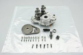 25534-99 Harley-davidson 2006 Road King Cam Gear Set Support Plate Oil Pump Assembly 24 000 Mi