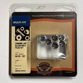 94131-93t Harley-davidson Genuine New Allen Hole Plug Kit 5/16 Inch 6 Per Pk 94131-93t Harley-davidson Genuine New Allen Hole Plug Kit 5/16 Inch 6 Per Pk