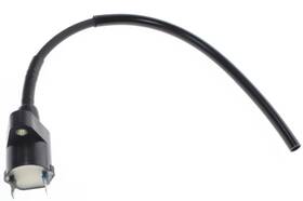 Honda 30510-gr2-405 Spark Plug Ignition Coil Trx200 Trx300 Trx300fw