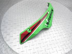 55028-0888 Kawasaki 2024 Ninja 500 Ex500 Left Side Belly Under Lower Fairing Cover Cowl Oem