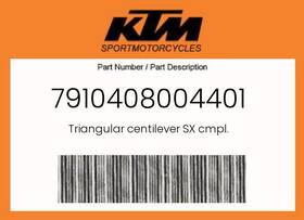 Ktm 7910408004401 Genuine Triangular Centilever Sx Cmpl. -
