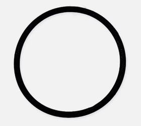 5411417 Polaris New Oem O-ring