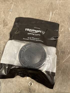 T2076717 Triumph M2 Oem Genuine 660 Trident Daytona Tiger Swinging Arm Cover