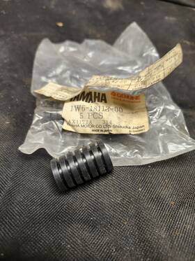1w6-18113-00 Yamaha Genuine Oem Nos Wr200 Xt250 Shift Pedal Cover