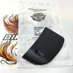New Harley 2014-2025 Batwing Touring Media Door Black 76000409BYM. Fixed Price $90.00.