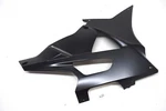 Bmw S1000RR K46 10-11 Bug Fairing Spoiler Engine Cover R.h.. Fixed Price $196.45.