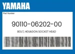 Yamaha Genuine Bolt, Hexagon Socket Head 90110-06202-00. Fixed Price $10.10.