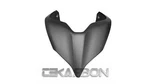 2018 - 2024 Ducati Panigale / V4S Carbon Fiber Tail Fairing (matte Only). Fixed Price $288.95.