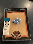 Harley Davidson Chrome Hex Bolt Cover Kit 94287-03. Fixed Price $20.00.