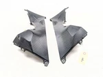 09-14 Bmw S1000RR Left Right Inner Fairing Panel Set 46637715925 46637715926. Fixed Price $120.33.