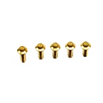 3/8" Stainless Steel Gold Rear Brake Rotor Mounting Hardware Bolts For Harley. Fixed Price $25.95.