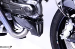 Ducati Monster Hypermotard 696 796 1100 Evo 100% Carbon Fiber Belly Pan Spoiler. Fixed Price $277.94.