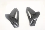 2016 Bmw S1000R Right/left Lower Bottom Belly Engine Spoiler. Fixed Price $79.25.