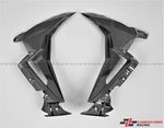 2019-2022 Bmw S1000R Side Panels With Winglets 100% Carbon Fiber. Fixed Price $561.33.