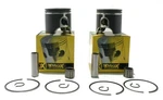 Ski-doo Mxz 600 Adrenaline, 2003-2009, Pro-x Pistons W/ Bearings. Fixed Price $160.00.