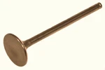 Yamaha Grizzly 660, 2002-2008, Exhaust Valve 3YF-12121-00-00. Fixed Price $10.99.