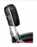 National Cycle Back Rest With Pad 557750. Fixed Price $50.00.