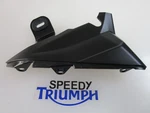 Triumph Street Triple 765 Rs Right Side Upper Radiator Cowl T2316017. Fixed Price $40.29.