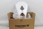 Triumph Daytona 13-20 Oem Rear Lower Bodywork Fairing Cover New!. Fixed Price $194.99.