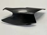 Ducati Exhaust Seat Body Panel Carbon Fiber Lh Left Side Hym 1100S 48211531C. Fixed Price $124.95.