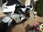 Unpainted Fairing Kit W/bolts For Kawasaki Ninja 636 ZX-6R 2003 04 Bodywork Set. Fixed Price $239.09.