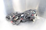 15-18 Ducati Monster 821 Main Engine Wiring Harness Motor Wire Loom 51019741C. Fixed Price $138.61.