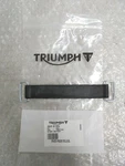 Triumph Street Triple Daytona Thunderbird Tiger Rocket Battery Strap T2501740. Fixed Price $19.47.