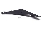 Kawasaki ZX6R ZX600R Inside Fairing Right R.h. Cover 2009. Fixed Price $85.31.