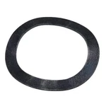 Polaris Wave Washer (19 Mm), 7556273. Fixed Price $5.99.