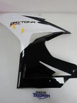 Triumph Daytona 675 Left Hand Fairing Panel Crystal White 2014 T2309573-NW. Fixed Price $160.73.