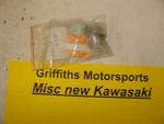 New Kawasaki Nos Nib 92009-1662 Screw QTY(5). Fixed Price $22.00.