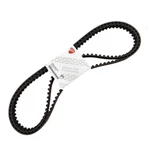 Ducati Cam Timing Belts Set 749 998 Monster S4RS Oem 73740121B Genuine. Fixed Price $198.23.