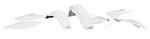 YAKIT304-046 Ufo Plastic Full Body 03-05 Yz 250 450 1403-0926 White. Fixed Price $129.99.