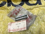 Kawasaki G4TR G5 KE100 F5 F6 F7 F8 F9 F11 H1 H2 KZ750 S1 S2 S3 Z1 Seat Pin Nos. Fixed Price $9.99.