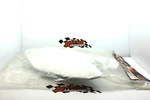 2002-04 Honda CR125-250 Ufo Side Number Plates. Fixed Price $43.12.