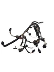 2003 Harley-davidson Electra Glide Flht Fairing Wire Harness Stereo 70232-03A. Fixed Price $100.00.