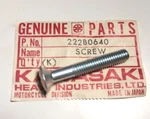 Qty 13 Nos 62-01 Kawasaki A1 A7 H1 H2 Ke Kz Engine Cover Screw Oem 222B0640. Fixed Price $24.99.