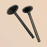 Intake & Exhaust Valve For Yamaha Warrior YFM350X 1987-2004 1UY-12121-01-00. Fixed Price $15.49.