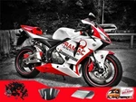 Ntuj Fairing Fit For Honda 2005-2006 CBR600RR Injection Red White Abs Plastic. Fixed Price $439.99.