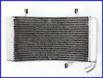 Ducati 2001 748R Genuine Round Radiator 916 996 998. Fixed Price $173.70.